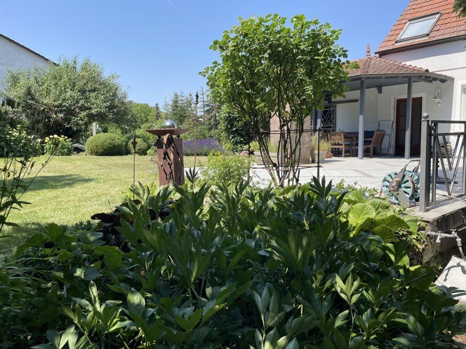 Ansicht Terrase und Hauseingang Einfamilienhaus Dittelsheim-He�loch