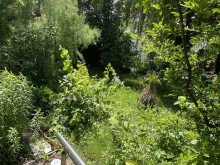 Garten ImmobilienPunkt*** Ger�umiges 1-2-Fam.haus in toller Ortsrandlage