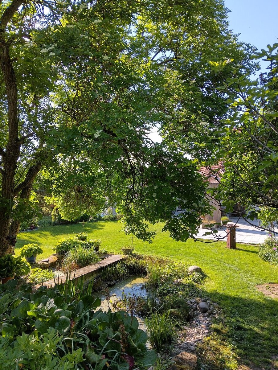 Garten 2 Einfamilienhaus Dittelsheim-He�loch