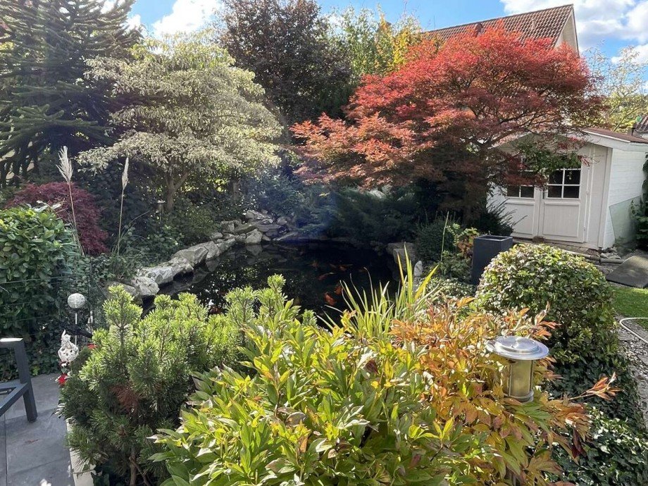 Gartenteich Einfamilienhaus Dienheim