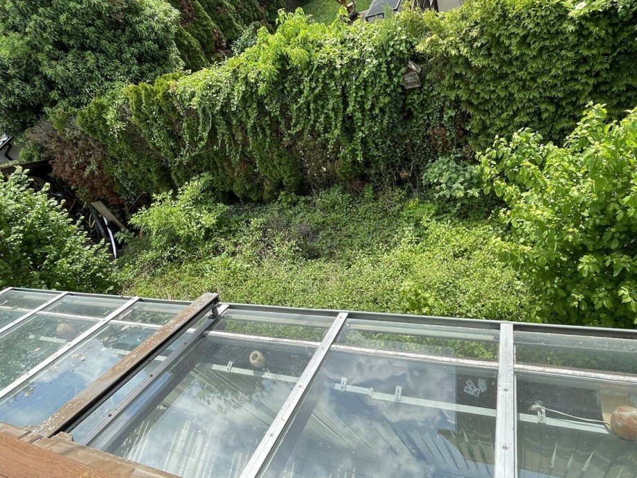 Blick in den Garten Einfamilienhaus Gau-Odernheim