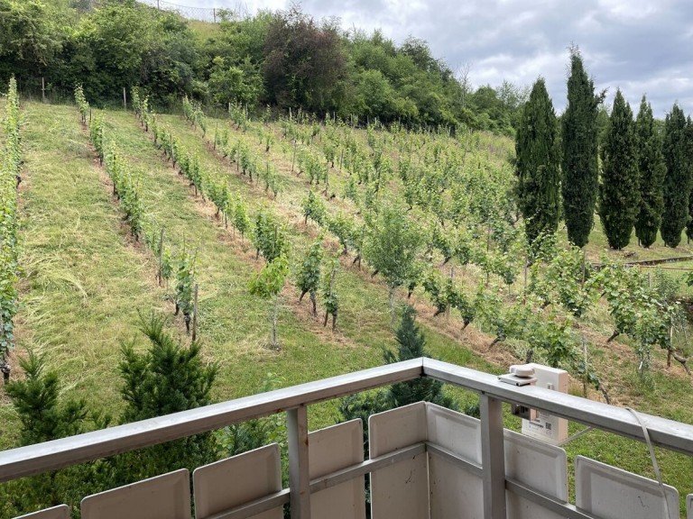 Balkon mit Weinbergblick Nackenheim - Nackenheim Etagenwohnung ImmobilienPunkt*** Schicke 3-Zimmer-Wohnung mit Blick in die Weinberge!