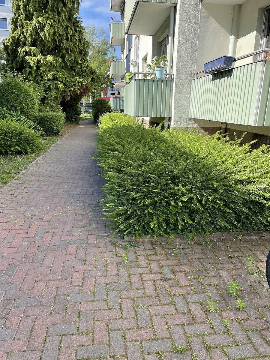 Hauszugang Etagenwohnung Oppenheim