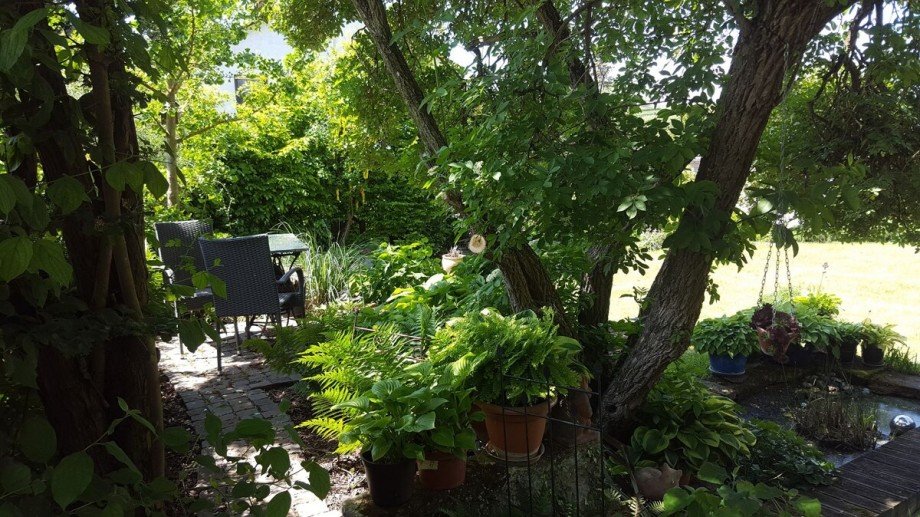 Garten 3 Einfamilienhaus Dittelsheim-He�loch
